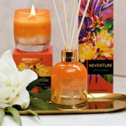 Stoneglow Infusion Adventure Saffron & Bergamot Tumbler Candle -Campus Gifts Sales 70492 stoneglow infusion adventure reed diffuser lifestyle