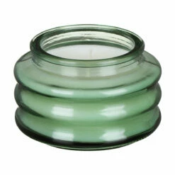 Paddywax Beam 85g Cactus Flower Glass Soy Candle -Campus Gifts Sales dw collective mg0303eu paddywax beam cactus flower soy candle 3