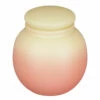 Paddywax Orb 141g Sparkling Hibiscus Ombre Frosted Glass Soy Candle