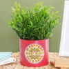 The Beatles Sergeant Pepper 10cm Plant Pot -Campus Gifts Sales half moon bay plntbts04 the beatles sergeant pepper plant pot