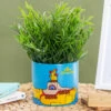 The Beatles Yellow Submarine 10cm Plant Pot -Campus Gifts Sales half moon bay plntbts07 the beatles 10cm plant pot
