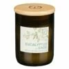 Paddywax Eco 226g Eucalyptus And Sage Green Recycled Glass Soy Candle -Campus Gifts Sales paddywax eg13eu eco eucalyptus sage recycled glass candle 01