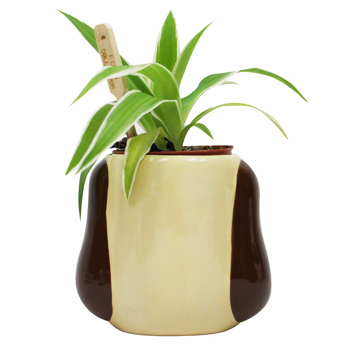 Wallace & Gromit– Gromit Shaped Plant Pot 5 Wallace & Gromit– Gromit Shaped Plant Pot - Image 3