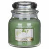 Yankee Candle Vanilla Lime Medium Jar Candle