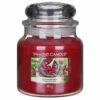 Yankee Candle Red Raspberry Medium Jar Candle 2 Yankee Candle Red Raspberry Medium Jar Candle -Campus Gifts Sales yankee candle 1323187 red raspberry medium jar candle