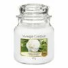 Yankee Candle Camellia Blossom Medium Jar Candle -Campus Gifts Sales yankee candle 1651394e camelia blossom medium jar candle